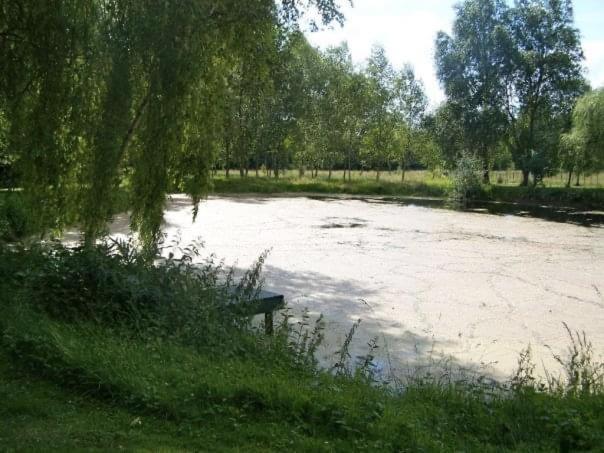 Cottage Proche Circuit 24 Heures Le Mans Proche De Paris Jeux Olympiques Autoroute A 5Km La Chapelle-Saint-Remy المظهر الخارجي الصورة